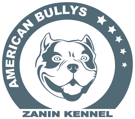 American Bully's